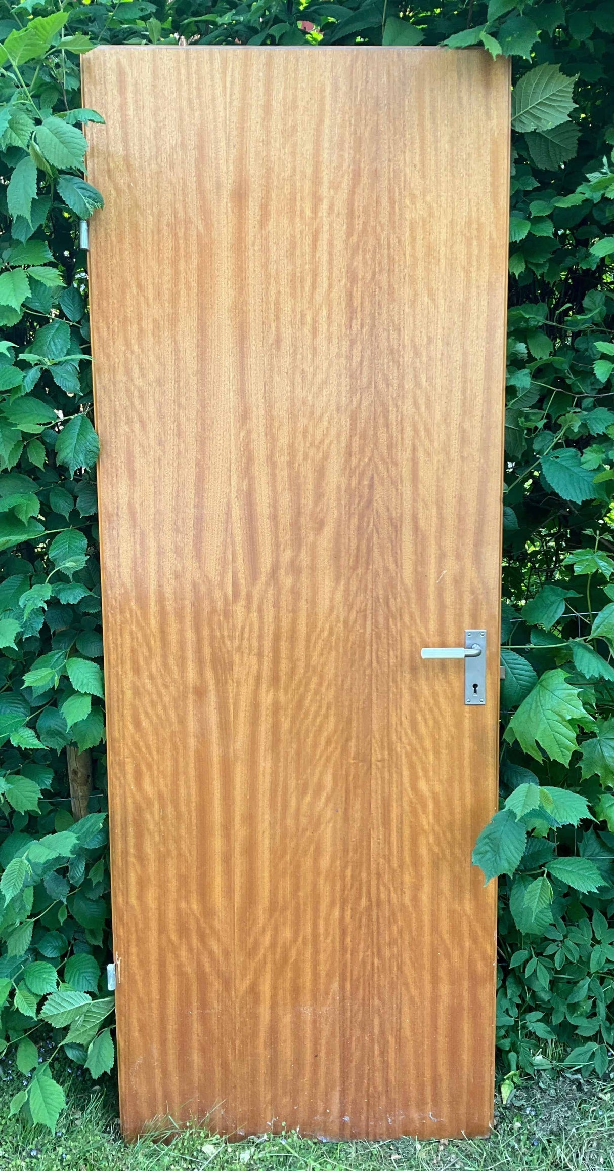 Klassisk innerdörr i trä för återbruk